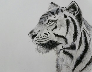 Majesty